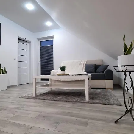 Апартаменты Bogi